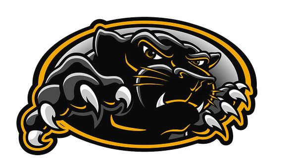 Snider Panthers